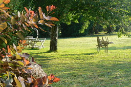 Logis de Chassagne